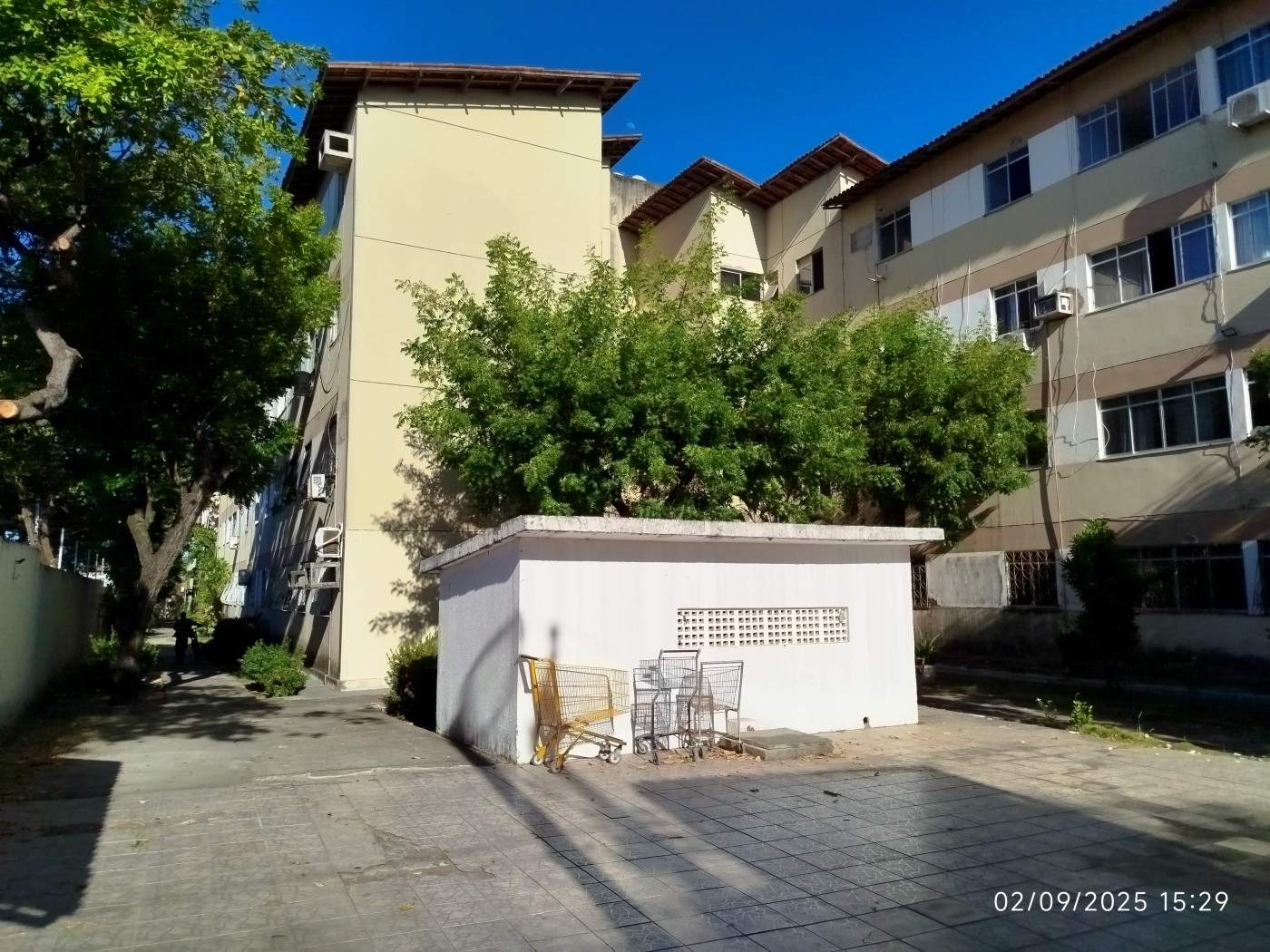 Apartamento, 3 quartos, 60 m² - Foto 3