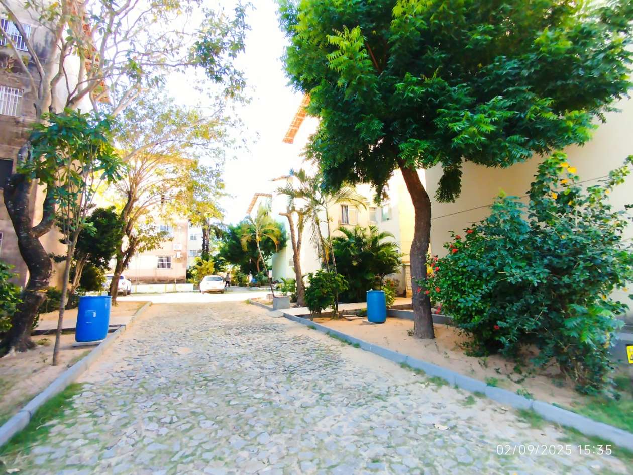 Apartamento, 3 quartos, 60 m² - Foto 14